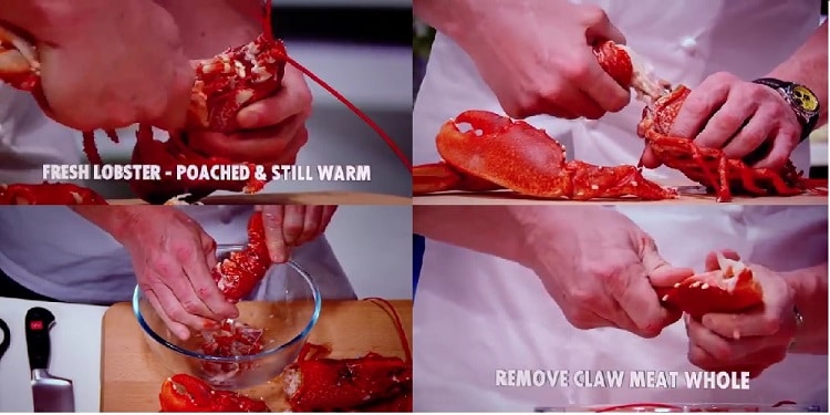 Boil and Shell Lobster Step 1