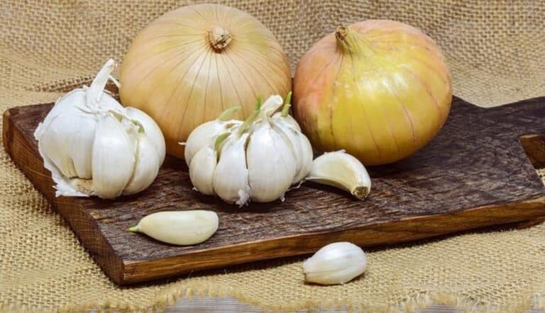 garlic on wooden board