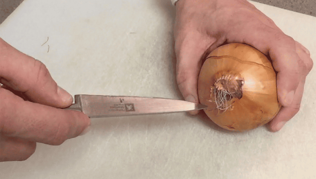 onion cutting hacks for tear prevention